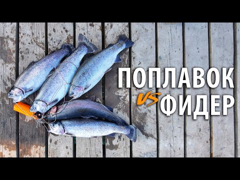 Видео: На что клюёт форель? ФИДЕР vs ПОПЛАВОЧКА. Платная рыбалка в РК "Посейдон".