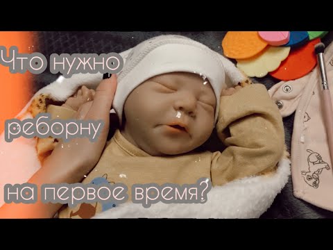 Видео: Что нужно реборну на первое время? Советы как сэкономить🤫