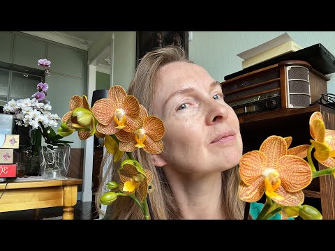 Видео: В гости к @ЗЕБООРХИДС-ОРХОРАЙ  - обзор поставки!!!