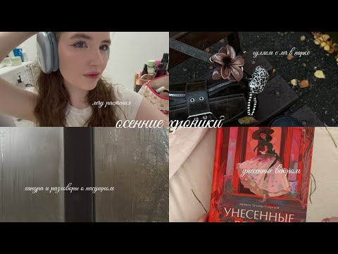 Видео: уютный осенний влог:: читаю унесенные ветром, гуляю в парке