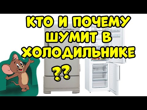 Видео: ПОЧЕМУ ШУМИТ ХОЛОДИЛЬНИК ?