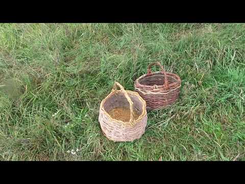 Видео: Накопал корзину арахиса .Козы обьели иву.