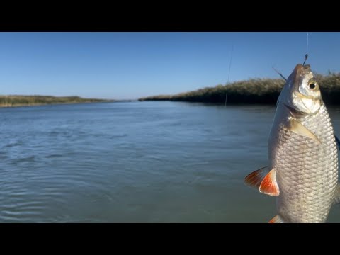 Видео: Рыбалка с лодки на реке Маныч!База х.Весёлый!!!