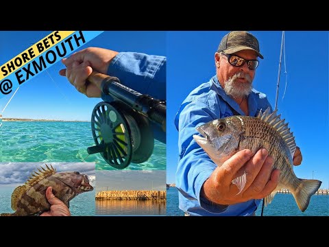 Видео: БОЛЬШЕ ИНФОРМАЦИИ О РЫБАЛКЕ В ЭКСМУТЕ ПЕШКОМ. Часть 2: Варианты использования