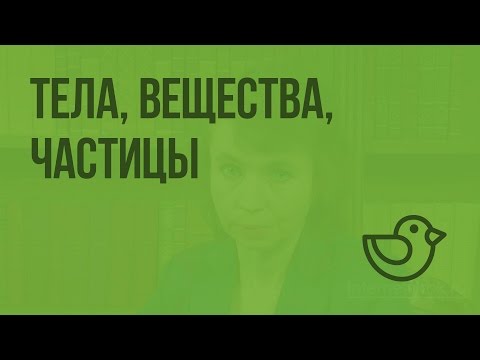Видео: Тела, вещества, частицы. Видеоурок по окружающему миру 3  класс