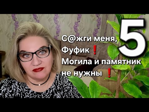 Видео: С@жги меня, Фуфик❗️Могила и памятник не нужны❗️