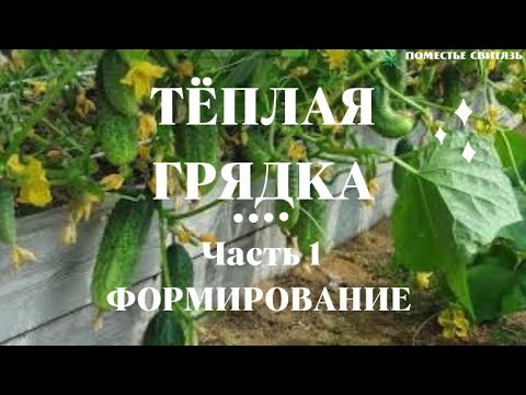 Видео: СОЗДАЕМ УГЛУБЛЕННУЮ  ТЁПЛУЮ ГРЯДКУ #теплая_грядка#плодородие