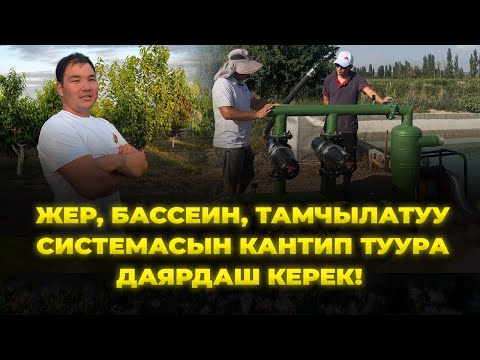 Видео: Агроном Арсен Тыныбеков сыр жашырбай айтып берди!