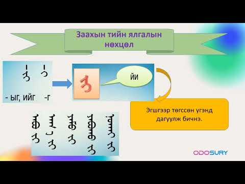 Видео: Монгол бичгийн жинхэнэ нэрийн тийн ялгал