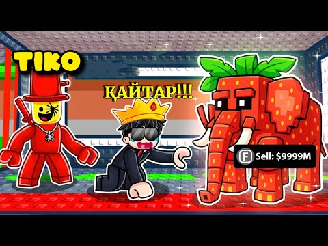 Видео: ЖЫНЫМА ТИГЕН АДАМНЫН ЕҢ МЫҚТЫ БРЕЙРОТТЫН ҰРЛАП КЕТТІМ ХА-ХА!!!| Roblox