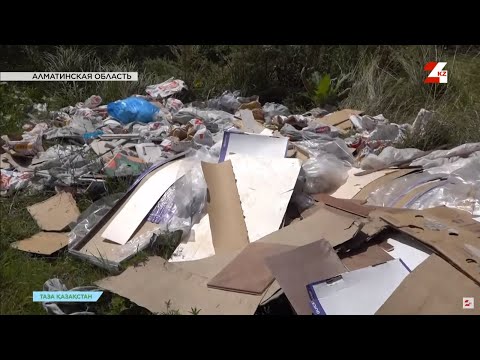 Видео: Отвратительное поведение! Посёлки Боралдай и Аскар Токпанова превратили в свалки | Таза Қазақстан