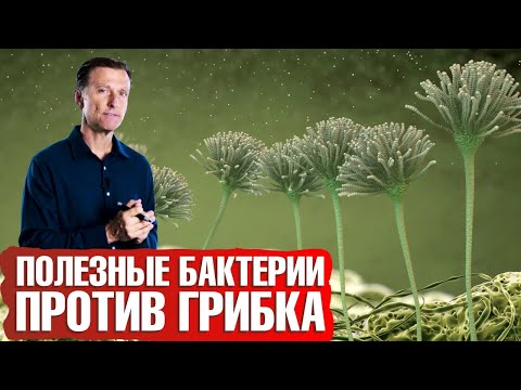 Видео: Здоровая микрофлора кишечника: как восстановить микробиом👍