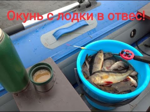 Видео: Окунь  с лодки в отвес на балансир ,блесну и живца !!!