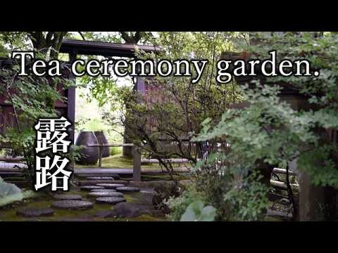 Видео: Сад чайной церемонии, удивительно красивый сад мхов, ваби-саби.
