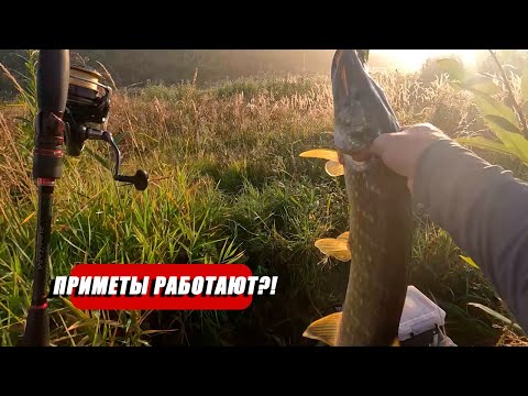 Видео: ПОЙМАЛ НА ПЕРВОМ ЗАБРОСЕ - ЧТО ДАЛЬШЕ? ПРИМЕТЫ РАБОТАЮТ? ЩУКА НА ВОБЛЕРЫ!