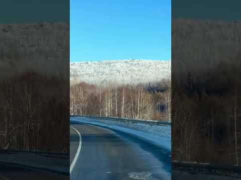 Видео: По дороге в Хабаровск #nature #travel #горы #зима #лес