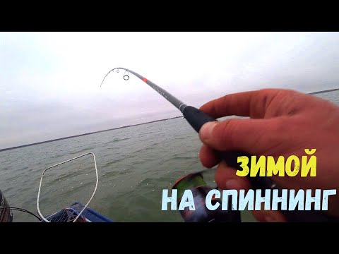 Видео: ВОТ ЭТО НАРВАЛСЯ НА СТАЮ! КЛЮЕТ НА КАЖДОМ ЗАБРОСЕ! Рыбалка на спиннинг зимой