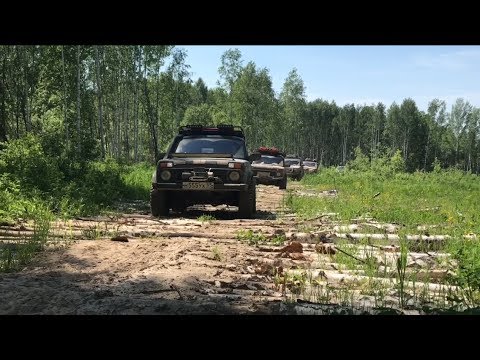 Видео: Нивы в тайге. Таежный зов. 4х4. Off- road. Омск.