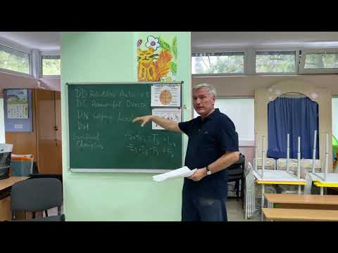 Видео: Как брак влияет на подтип? Тип Посредник, сенсорно-этический интроверт в Модели G. Соционика Гуленко