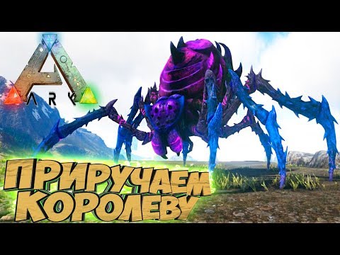 Видео: Приручаем КОРОЛЕВУ ПАУКОВ - ARK Survival Evolved Аннунаки на Ragnarok #40