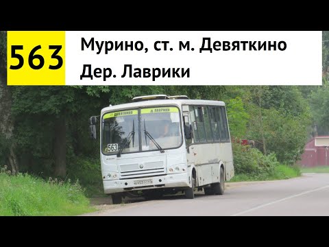 Видео: Автобус 563 "Дер. Лаврики - Мурино, ст. м. "Девяткино"