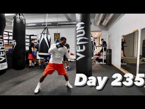 Видео: 235-й день становления чемпионом мира по боксу.