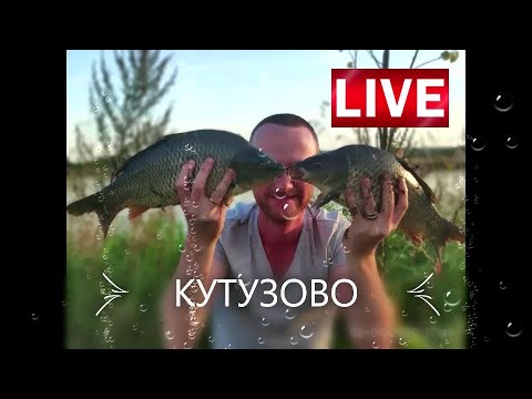 Видео: Рыбалка на платнике в КУТУЗОВО на фидер осенью в СЕНТЯБРЕ