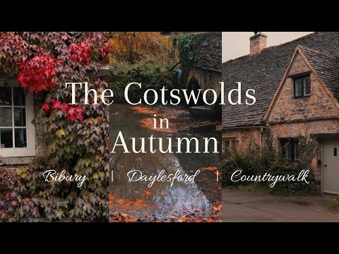 Видео: Котсуолдс осенью | Бибери, Дейлсфорд, загородная прогулка, неспешная жизнь