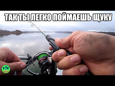 Видео: Это счастье! УДАРИЛ МОРОЗ И У РЫБЫ НАЧАЛСЯ ЖОР. Вот это рыбалка.