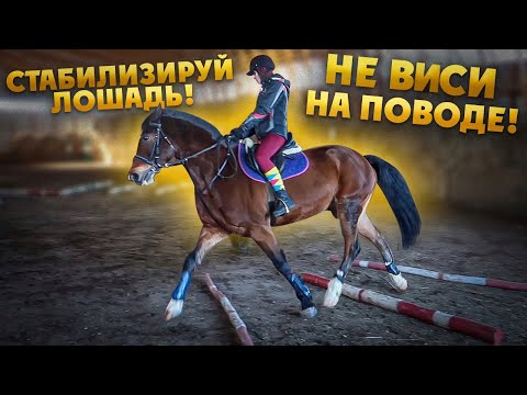 Видео: "ВИСИШЬ НА ПОВОДЕ" конная тренировка // Собрала Компанию | VLOG