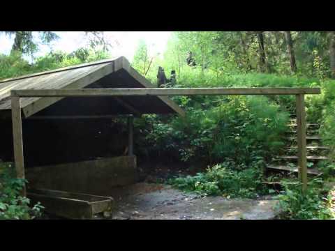 Видео: Фильм о Красногорском районе