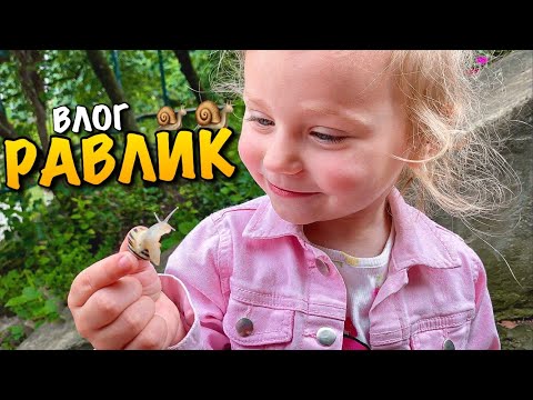 Видео: РАВЛИК | ДОЦЯ НАРЕШТІ ЗНАЙШЛА РАВЛИКІВ І З НИМИ БАВИТЬСЯ | SNAILS FAMILY | FAMILY| VLOG