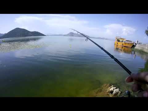 Видео: Рыбалка в Черногории Часть 2.Экскурсия  по Скадарскому озеру)))