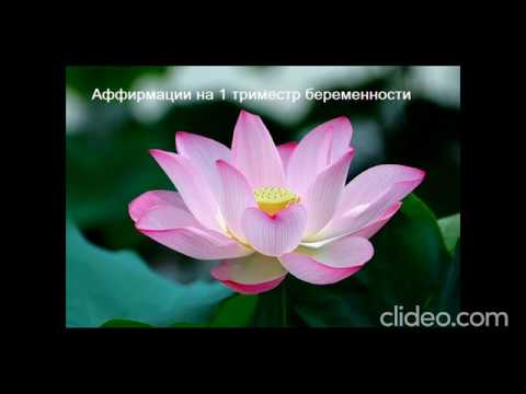 Видео: Аффирмации на 1 триместр беременности