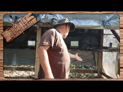 Видео: Что делать с кроличьим пометом