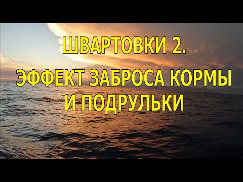 Видео: ЭФФЕКТ ЗАБРОСА КОРМЫ И ПОДРУЛИВАЮЩИЕ УСТРОЙСТВА. ШВАРТОВКИ 2.