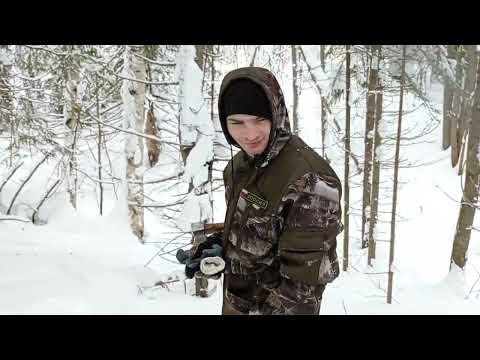 Видео: Куницы на мед