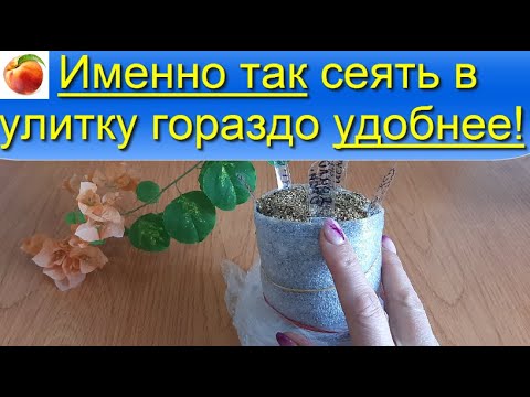 Видео: Так удобнее сеять  Лук в улитку семена на рассаду  Способ посадки цветов, лука, перца