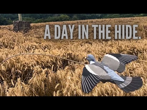 Видео: Стрельба по голубям | Видеозапись GoPro | ShotKam | Полёты вяхирей