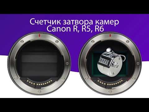 Видео: Как узнать пробег затвора Canon R, R5, R6 бесплатно за 5 минут