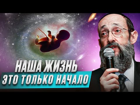 Видео: Наша жизнь это только начало. Рав Ашер Кушнир