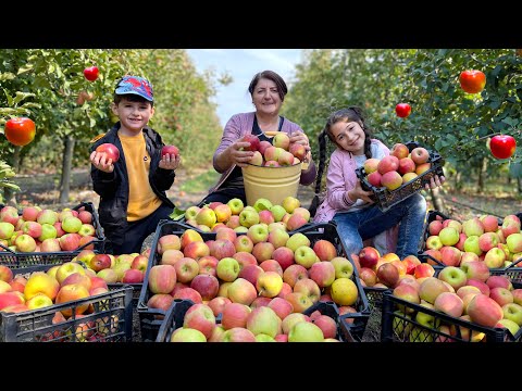 Видео: Собрала 100 кг яблок - бабушка сделала компот и нежный яблочный пирог. Секретный рецепт