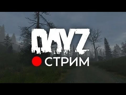 Видео: Dayz  #боль #survival #gameplay #стрим #iamzombie #metroroyale #gaming