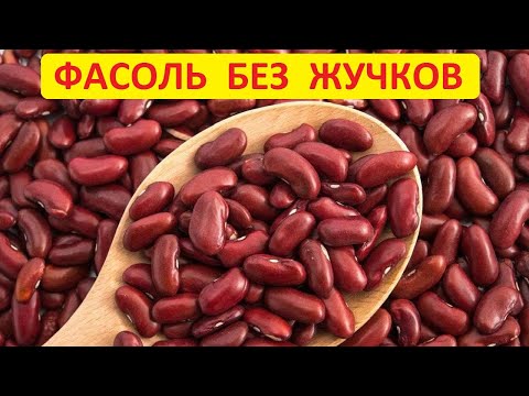 Видео: Чтобы в фасоли не заводились жучки - все очень просто