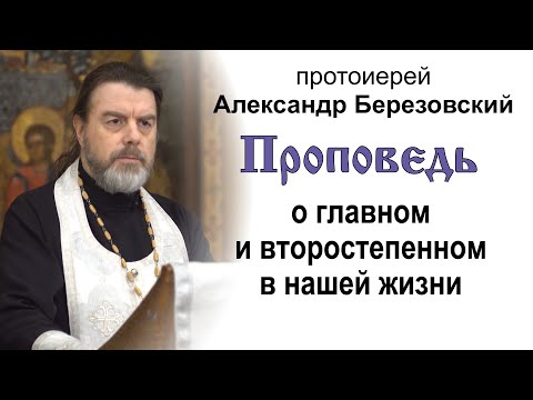 Видео: Проповедь о главном и второстепенном в нашей жизни (2023.01.20). Протоиерей Александр Березовский