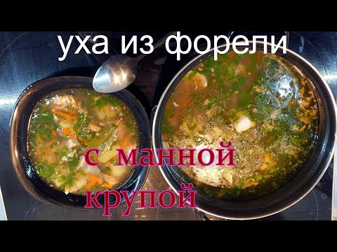 Видео: Уха из форели с манной крупой.