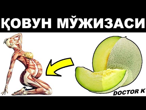 Видео: ҚОВУН ХАҚИДА СИЗ БИЛМАГАН СИРЛАР! УНИ АЛОҚАДАН ОЛДИН ЕСА НИМА БЎЛАДИ