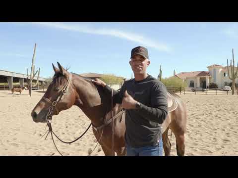 Видео: Баланс в седле: основа любого манёвра. | Совет недели