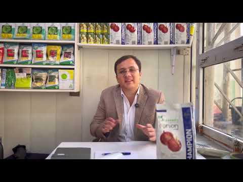 Видео: Пиёз уруғи #пиёзуруғи #piyoz urug’i +998 77 210 28 80  #urug #agro 