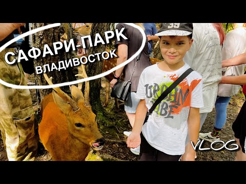 Видео: Максим кормит льва!🥩 Сафари-парк во Владивостоке